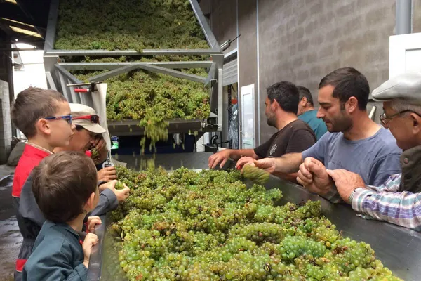 Image Vincent Carême no.1