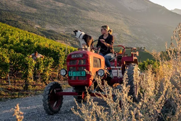 Image Claudy Clavien no.1