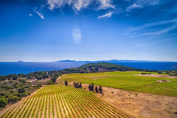 Image Cantina Giba no.1