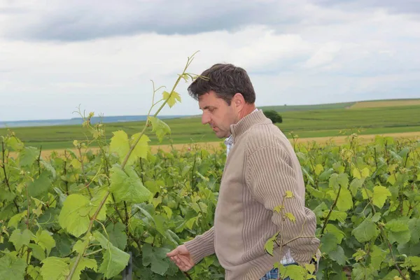 Image Benoît Lahaye no.0