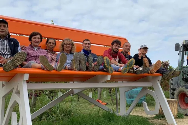 Image Accornero no.2