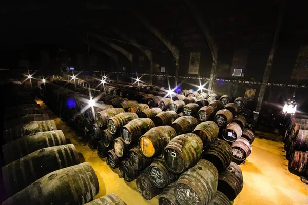 Image Toro Albala no.2