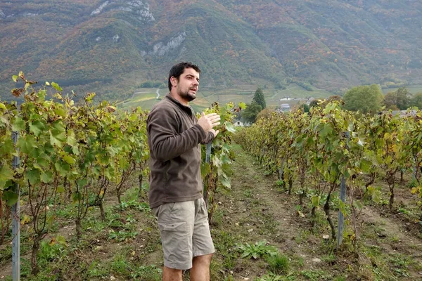 Image Adrien Berlioz no.0