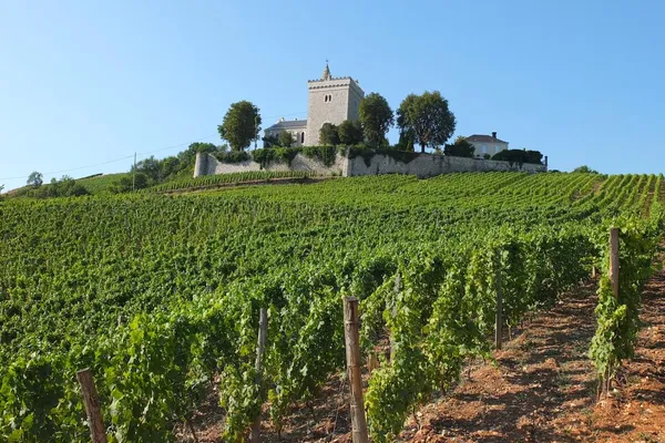 Image Adrien Berlioz no.1