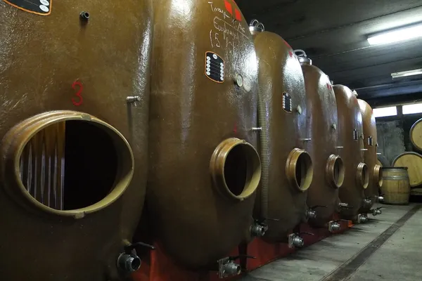 Image Adrien Berlioz no.2