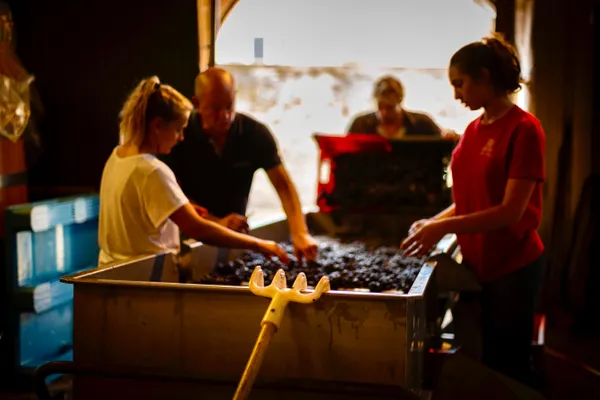 Image Chandon de Briailles no.0