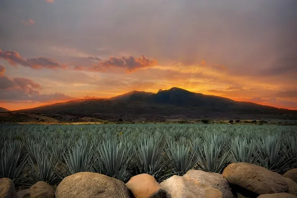 Image Clase Azul no.1