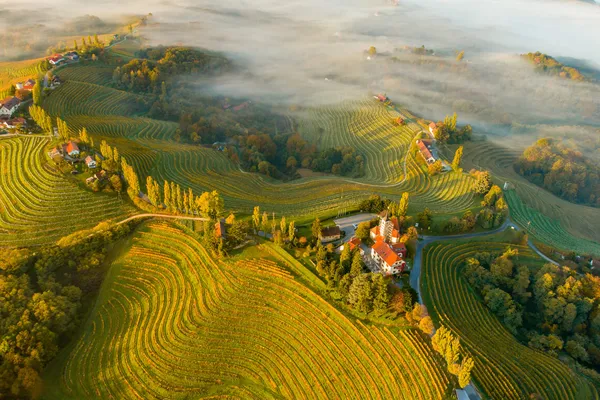 Image Clos Velicane no.0