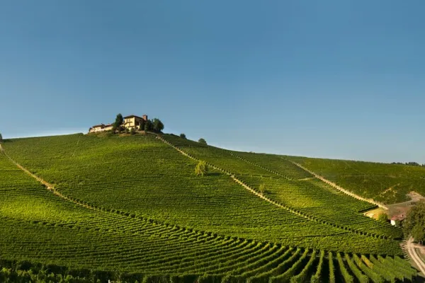 Image Elvio Cogno no.1