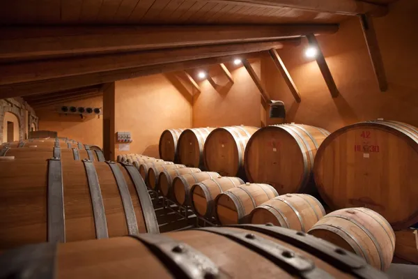 Image Elvio Cogno no.2