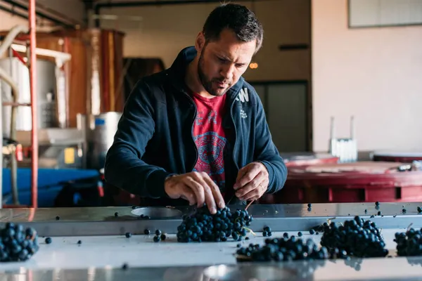 Image Olivier Rivière no.0