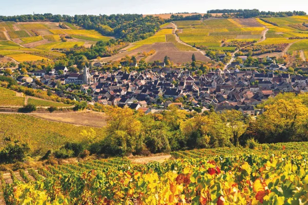 Image Gabin & Félix Richoux no.2