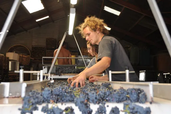 Image Gabin & Félix Richoux no.3